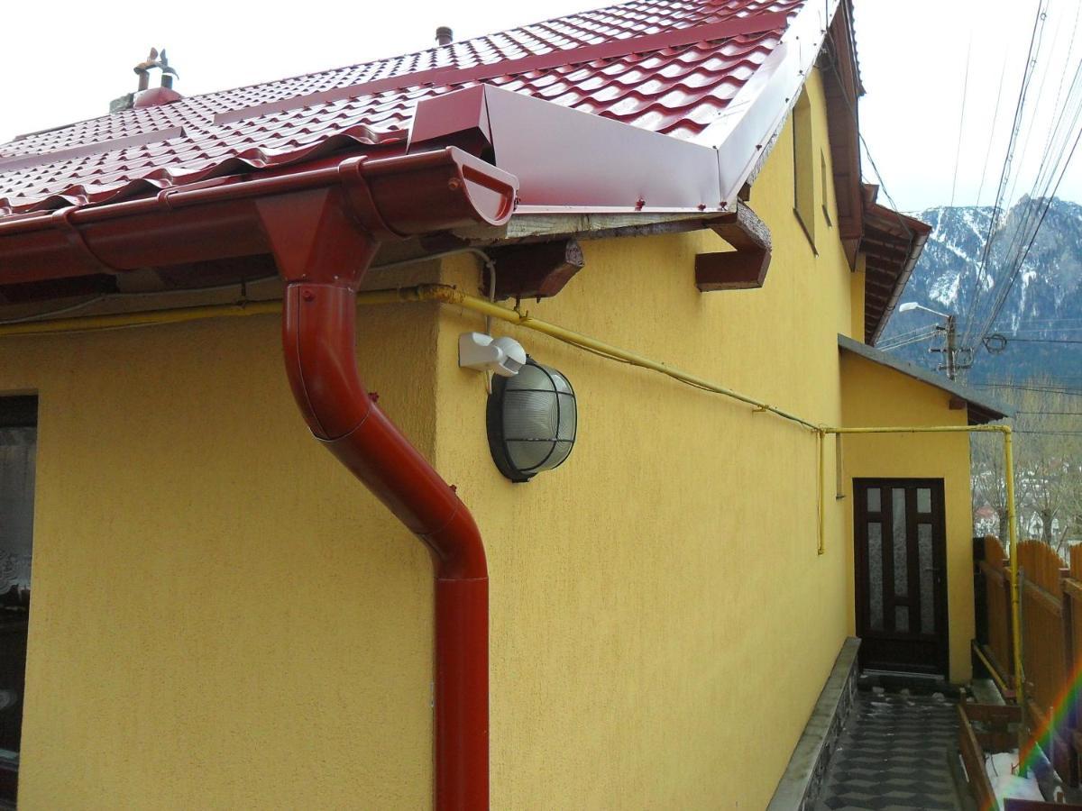 Casa Doina 호텔 부스테니 외부 사진